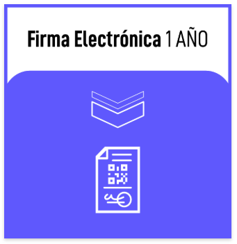 Firma Electrónica 1 Año